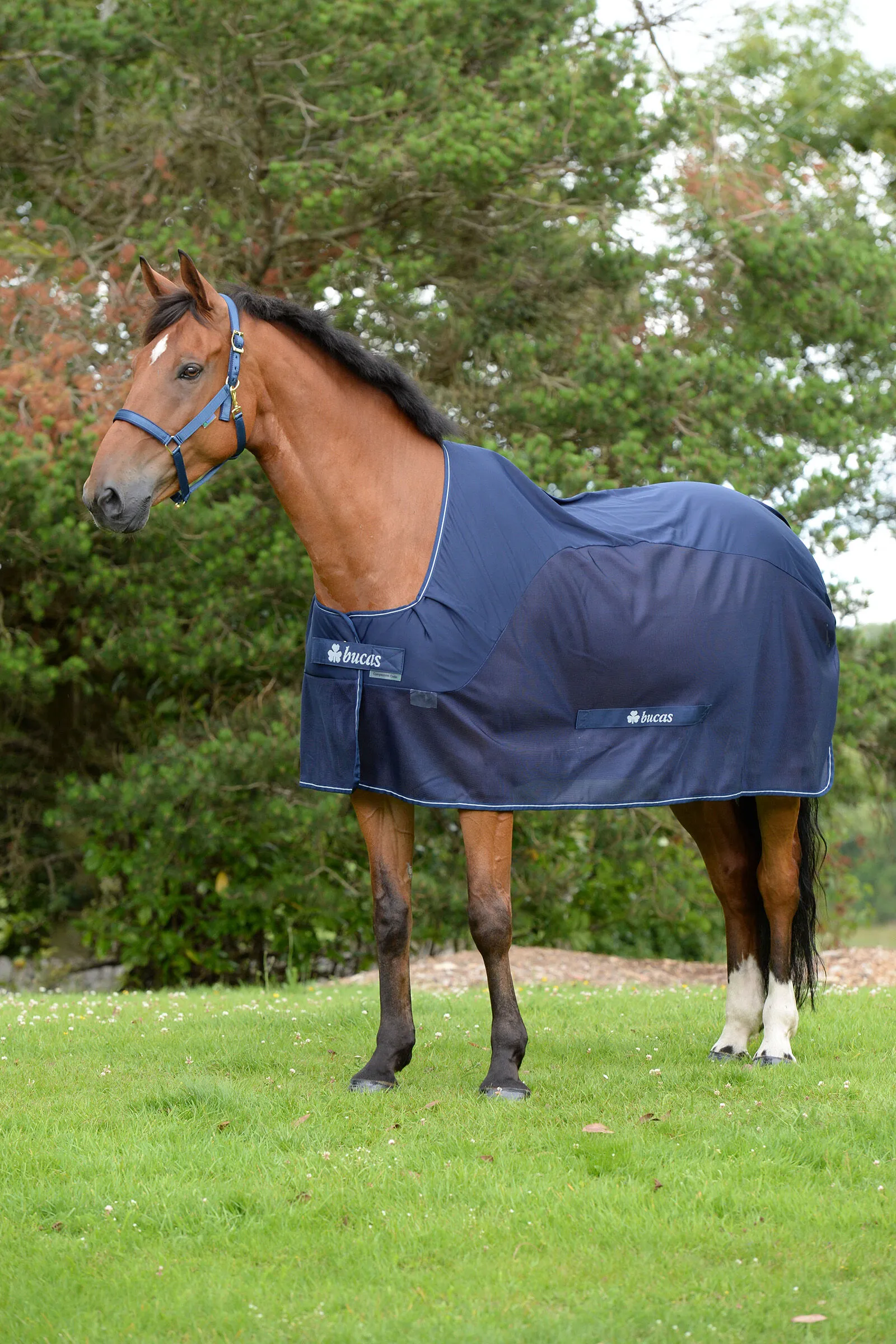 Bucas Chemise séchante de compétition