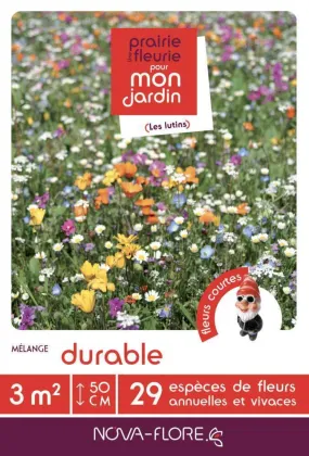 Prairies fleuries : prairie durable 3 m2